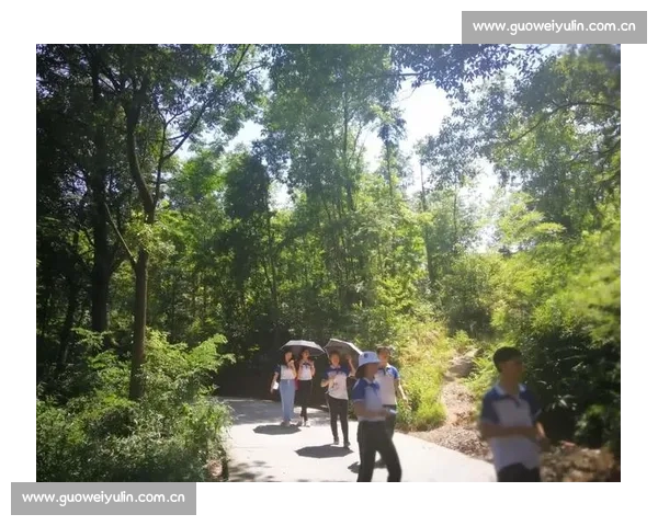 从剧本创作实践中领悟故事构建与人物塑造的深度思考经验体会收获